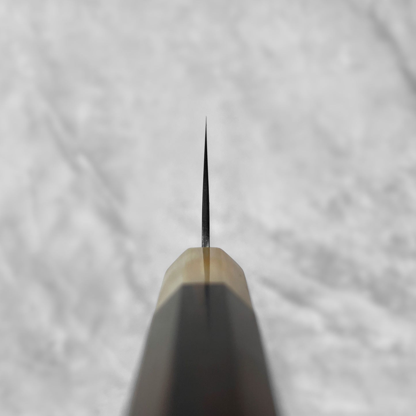 Tsunehisa Ginsan Nashiji Gyuto 210mm (Ebony & Buffalo Horn Handle)