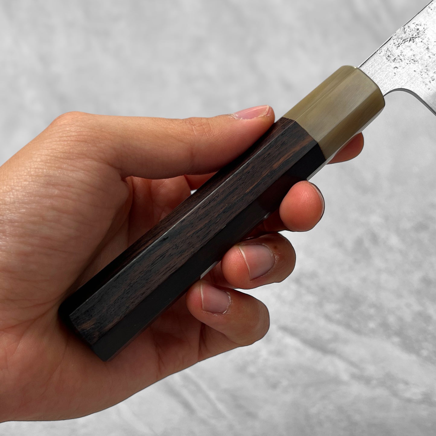 Tsunehisa Ginsan Nashiji Gyuto 210mm (Ebony & Buffalo Horn Handle)