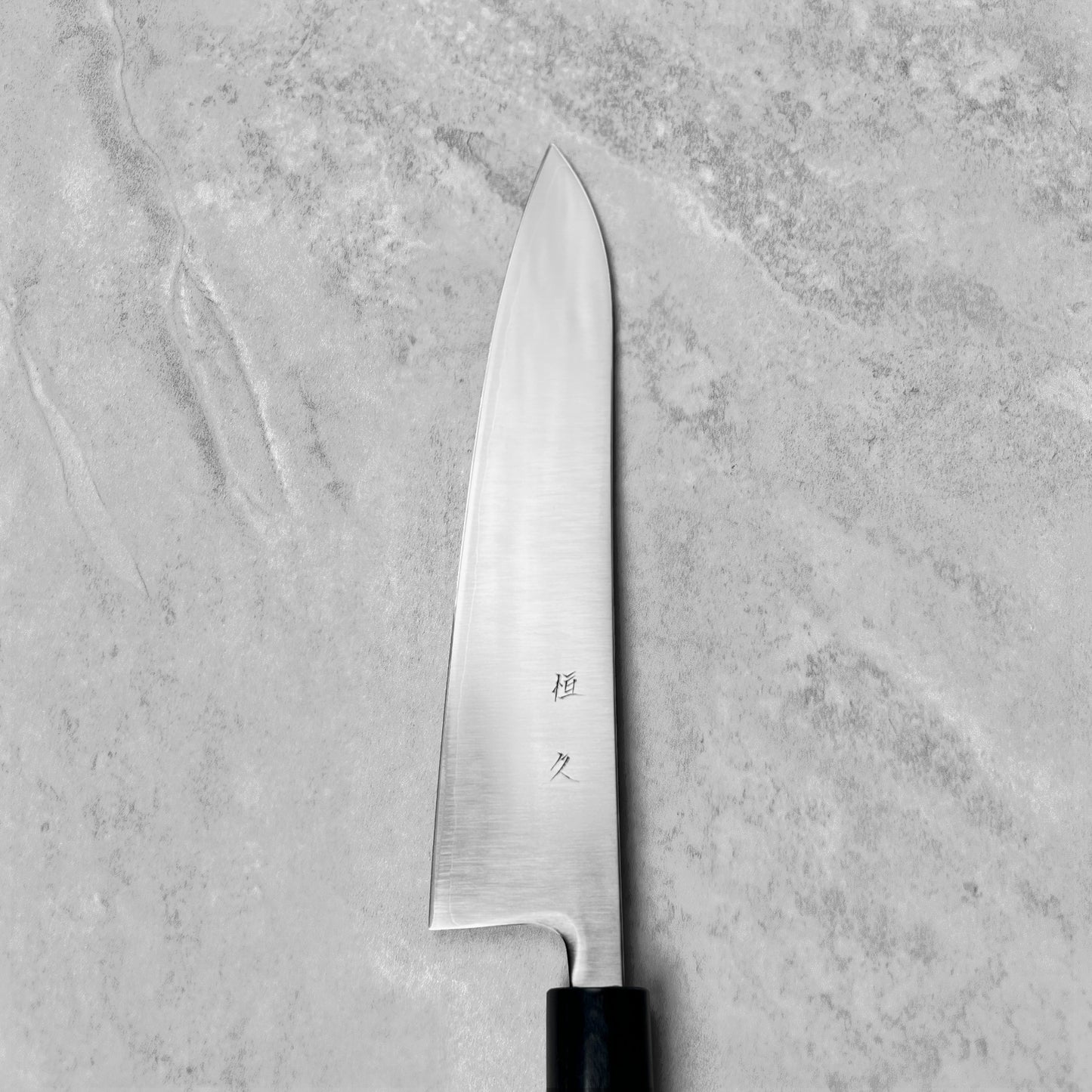 Tsunehisa Nijusan SRS13 Migaki Gyuto