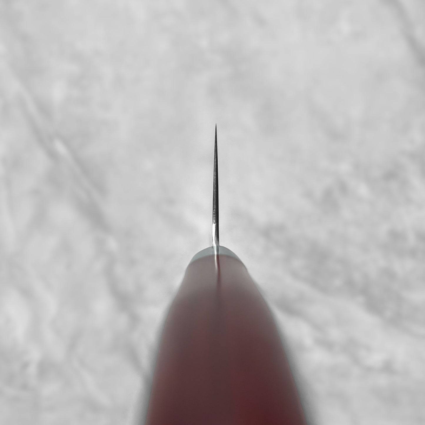 Takamura SG2 Migaki Gyuto 210mm