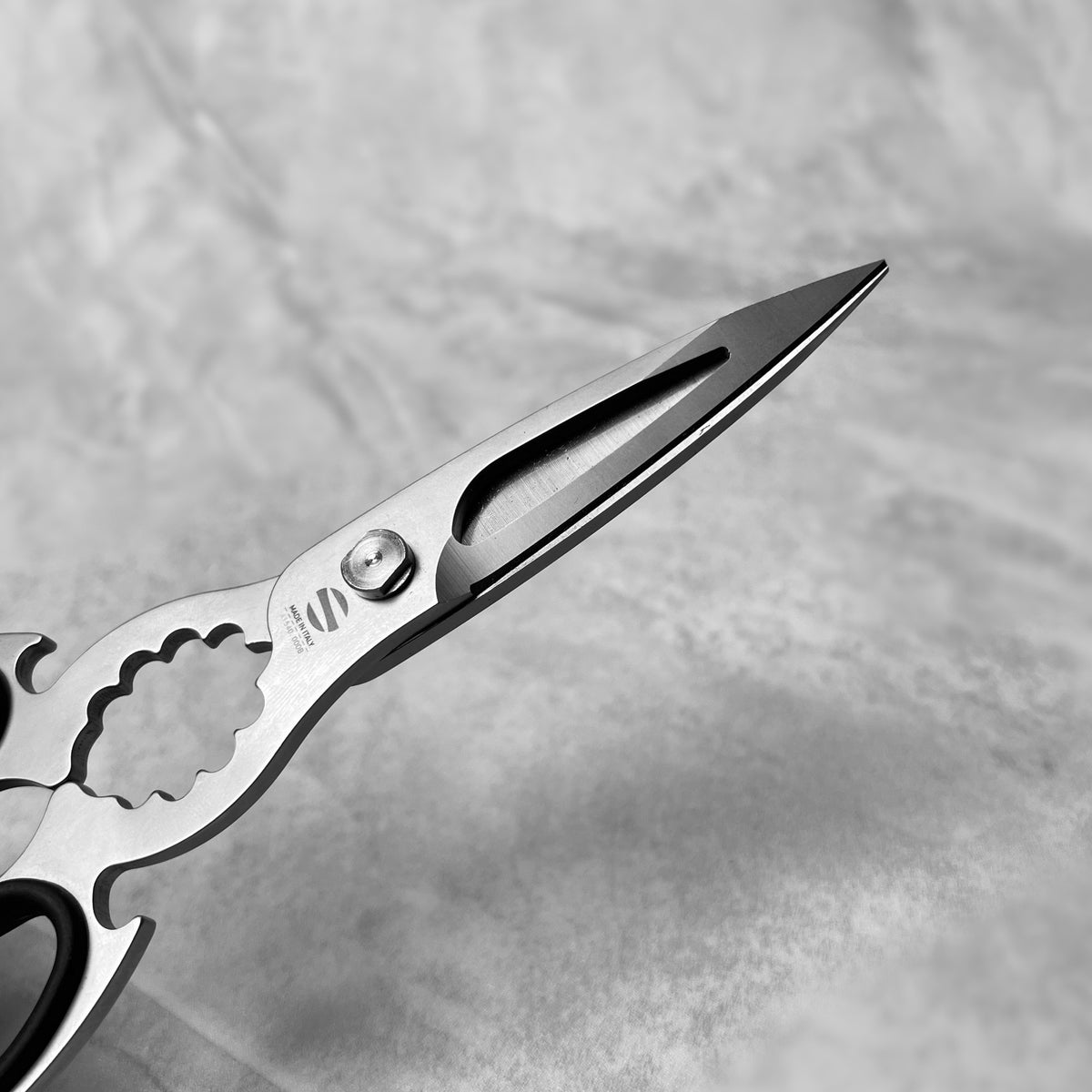 Ambrogio Sanelli Stainless Steel Professional Kitchen Scissors