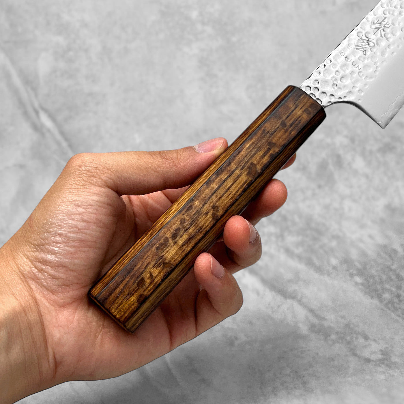 Seki Kanetsugu Shiun VG10 Soot Black Gyuto 200mm