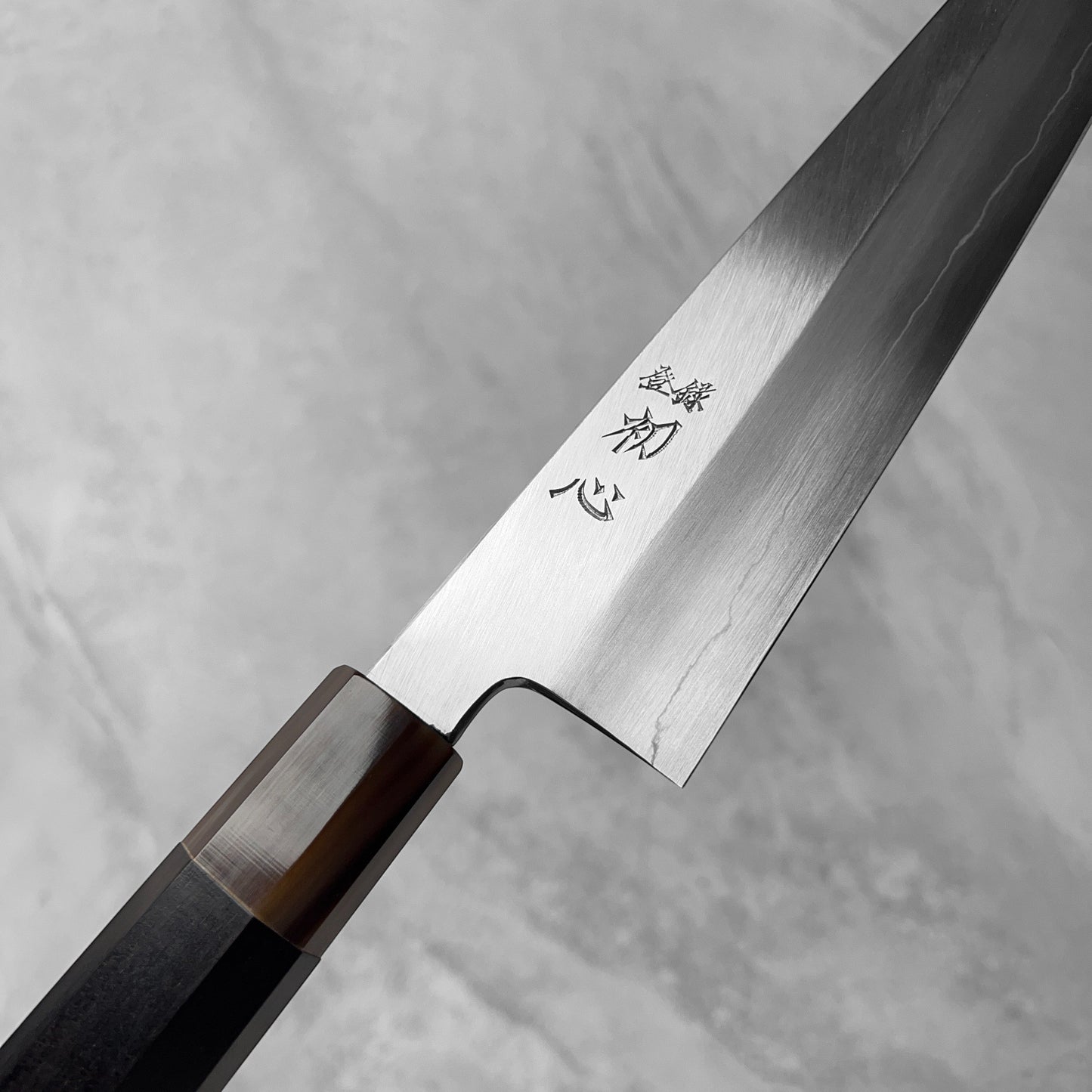 Hatsukokoro x Nakagawa Ginsan Gyuto 240mm