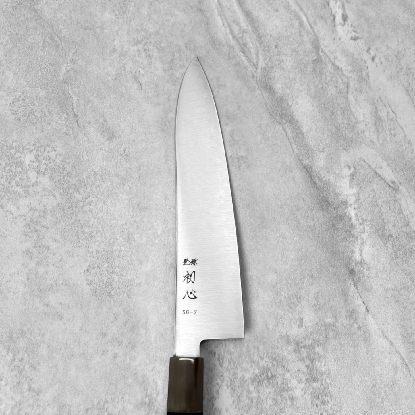 Hatsukokoro Hayabusa SG2 Migaki Gyuto 210mm