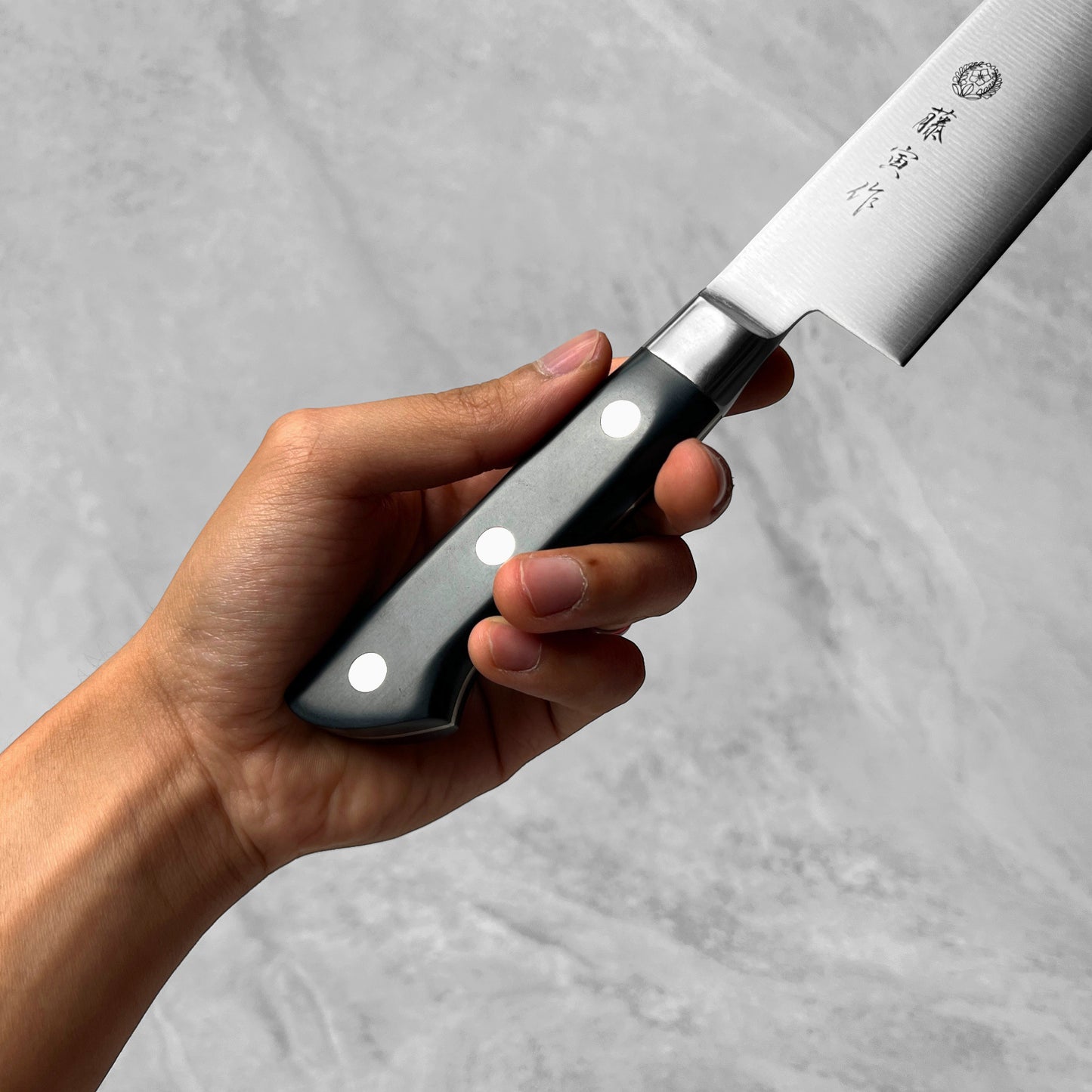 Tojiro Fujitora Classic DP VG10 Gyuto 210mm