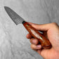 Nigara Hamono Anmon "Raindrop Damascus" SG2 Karin Western Petty 150mm