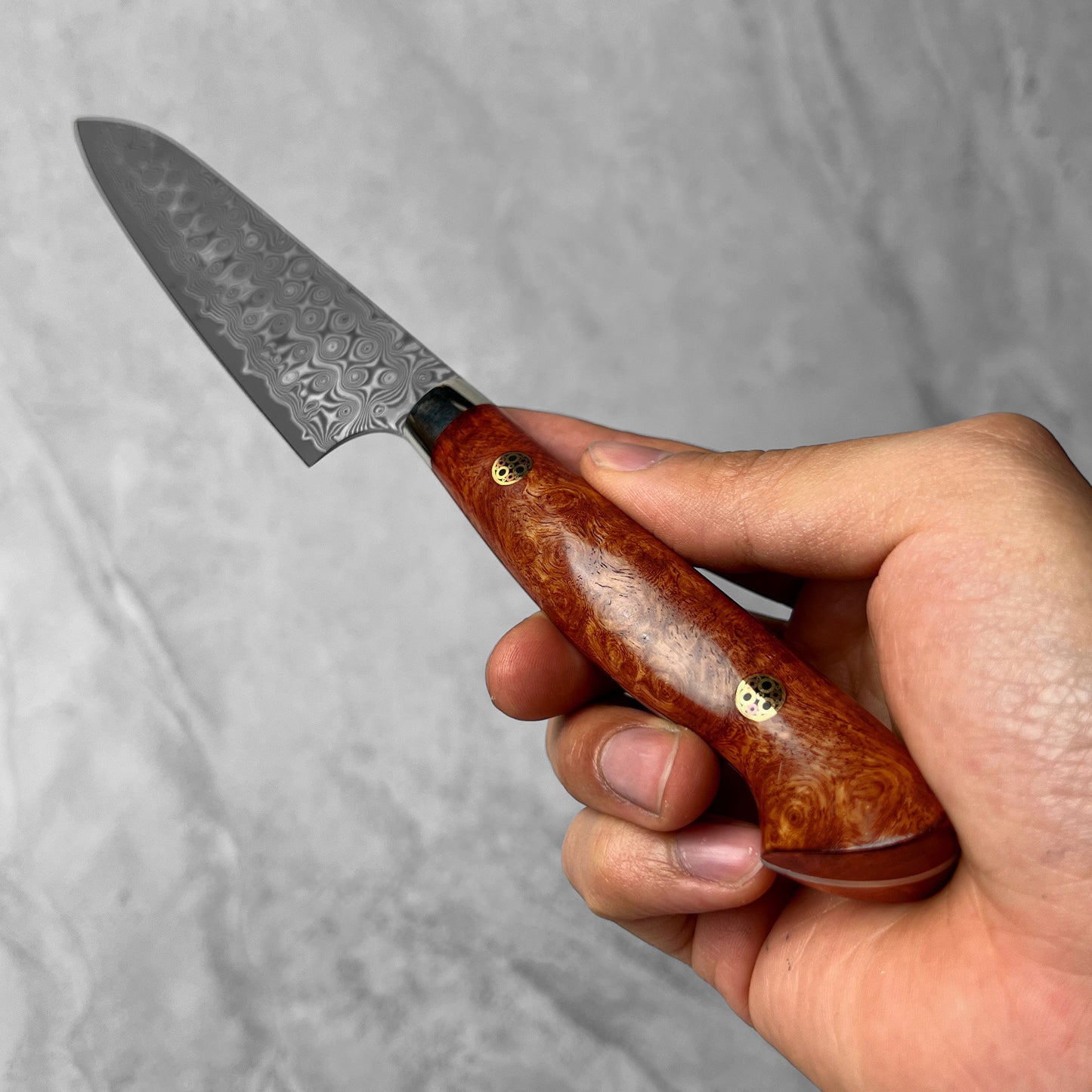 Nigara Hamono Anmon "Raindrop Damascus" SG2 Karin Western Petty 150mm