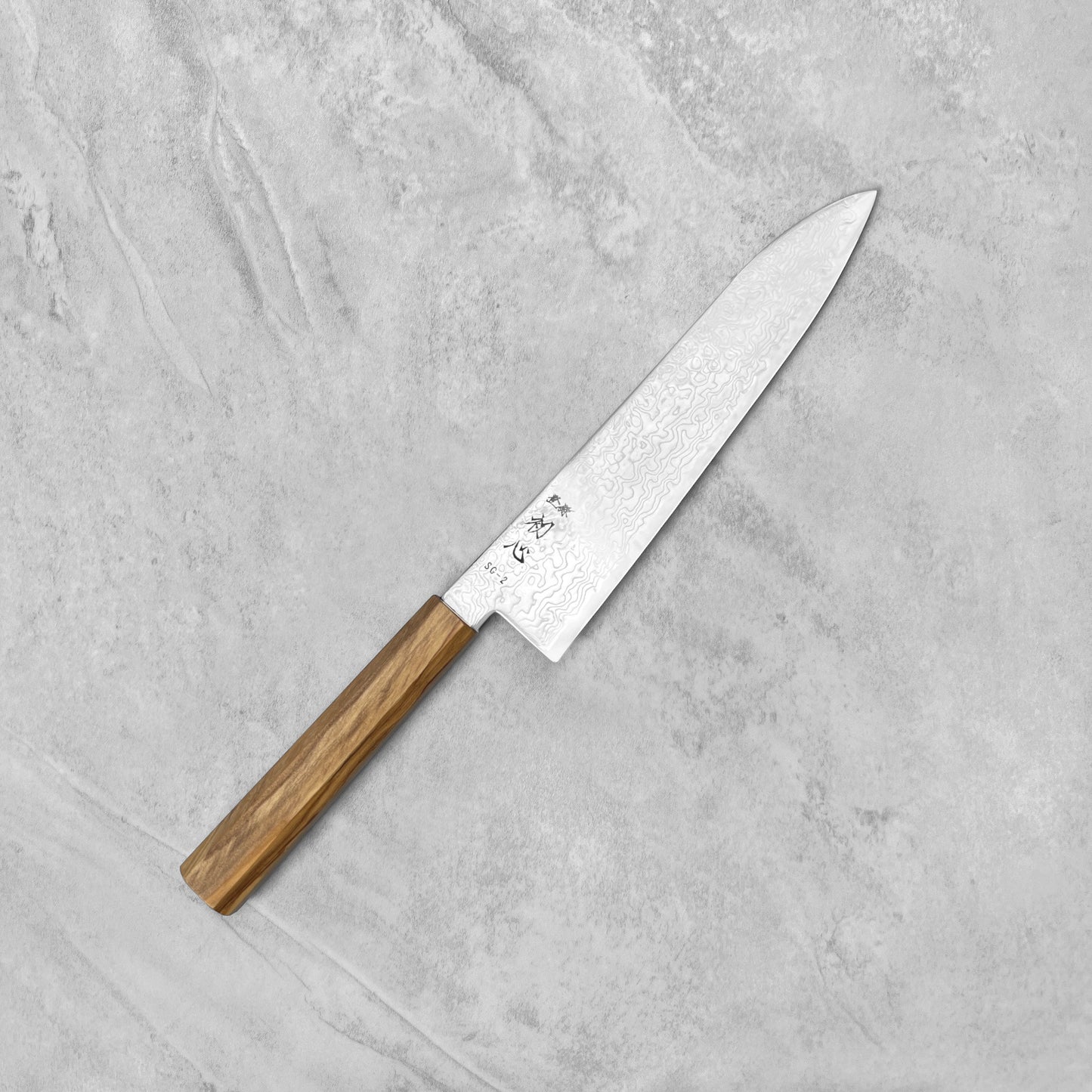 Hatsukokoro Ryuhyo SG2 Damascus Gyuto 210mm