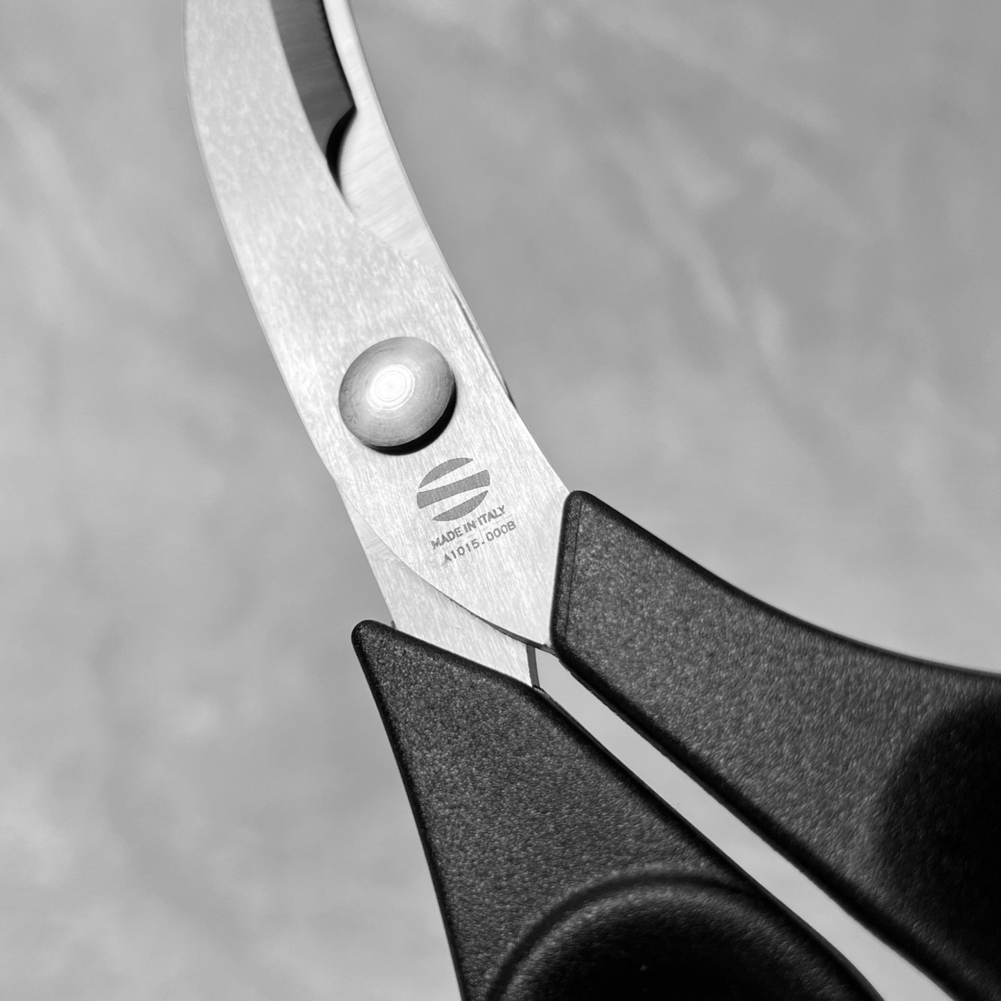 Ambrogio Sanelli Stainless Steel Poultry Shears
