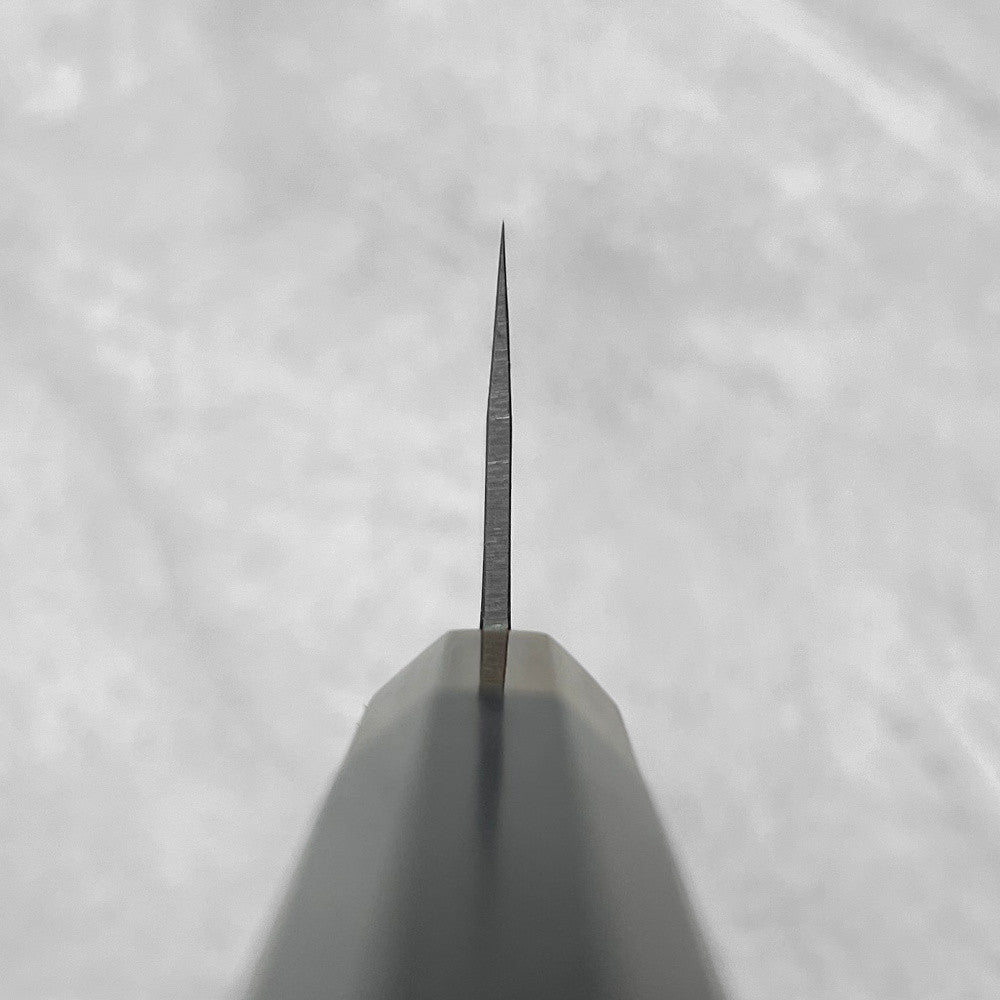 Ohishi Blue #2 Nashiji Gyuto 210mm