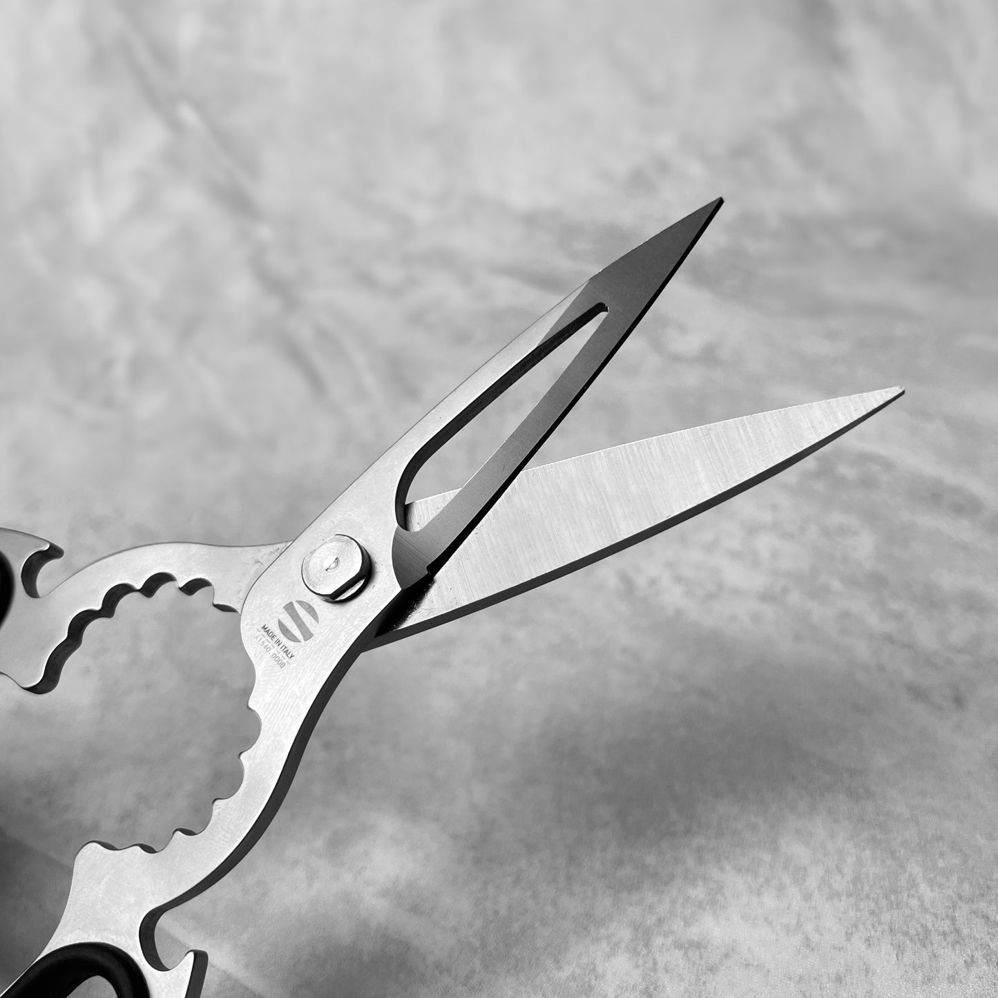 Ambrogio Sanelli Stainless Steel Professional Kitchen Scissors