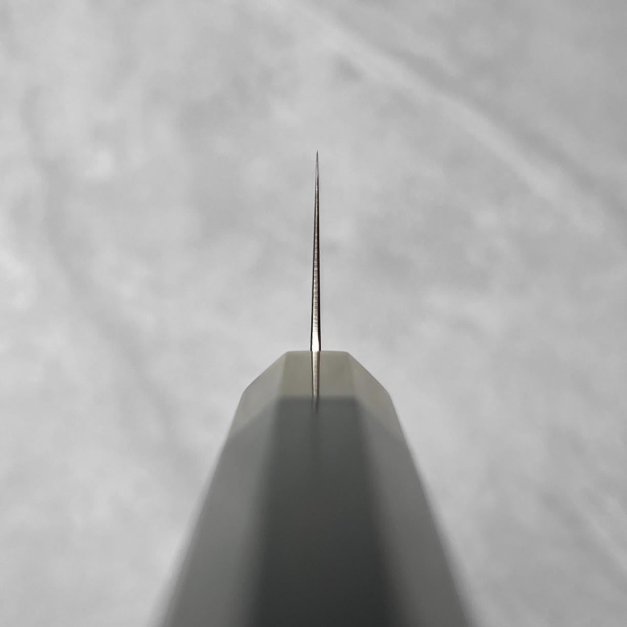 Hatsukokoro Hayabusa SG2 Migaki Gyuto 210mm