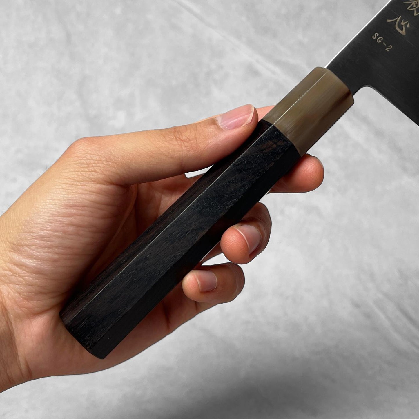 Hatsukokoro Hayabusa SG2 Migaki Gyuto 210mm
