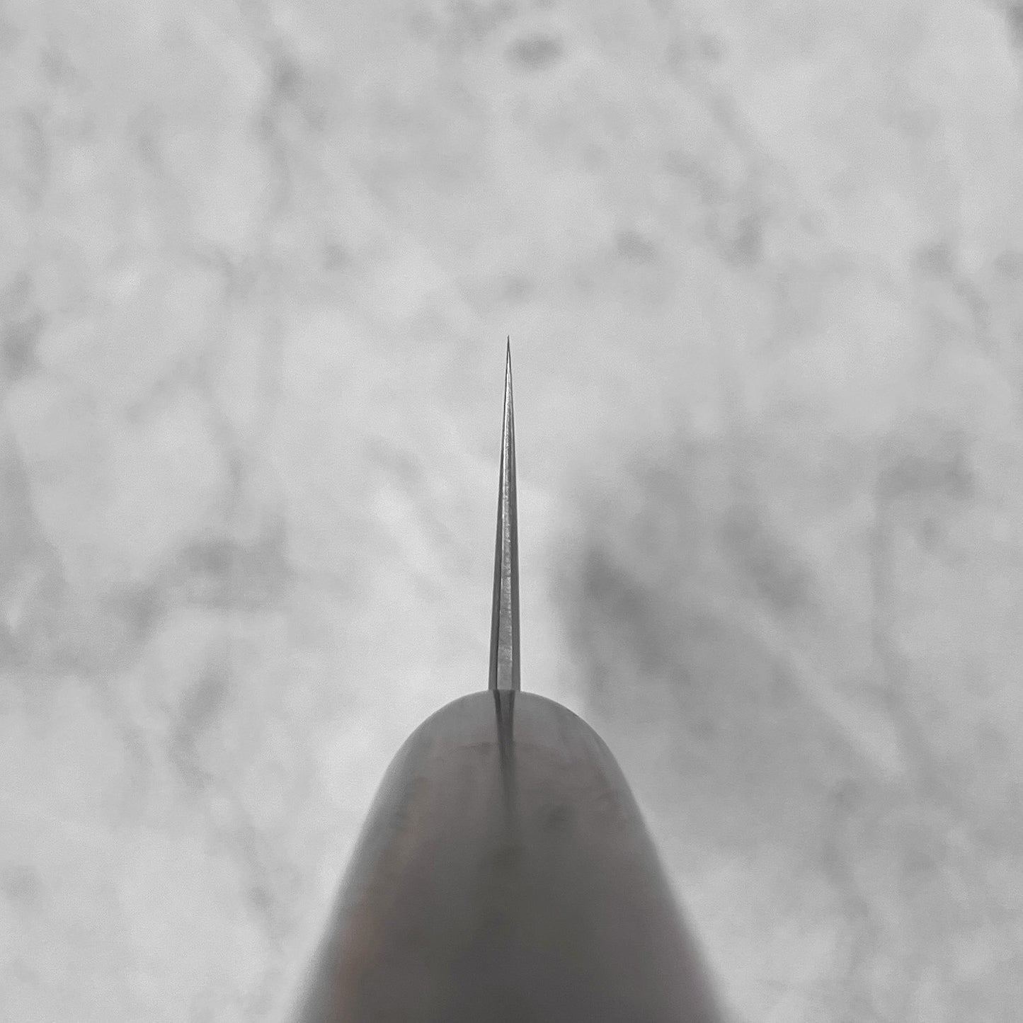 Tsunehisa Nijusan SRS13 Migaki Kiritsuke 210mm