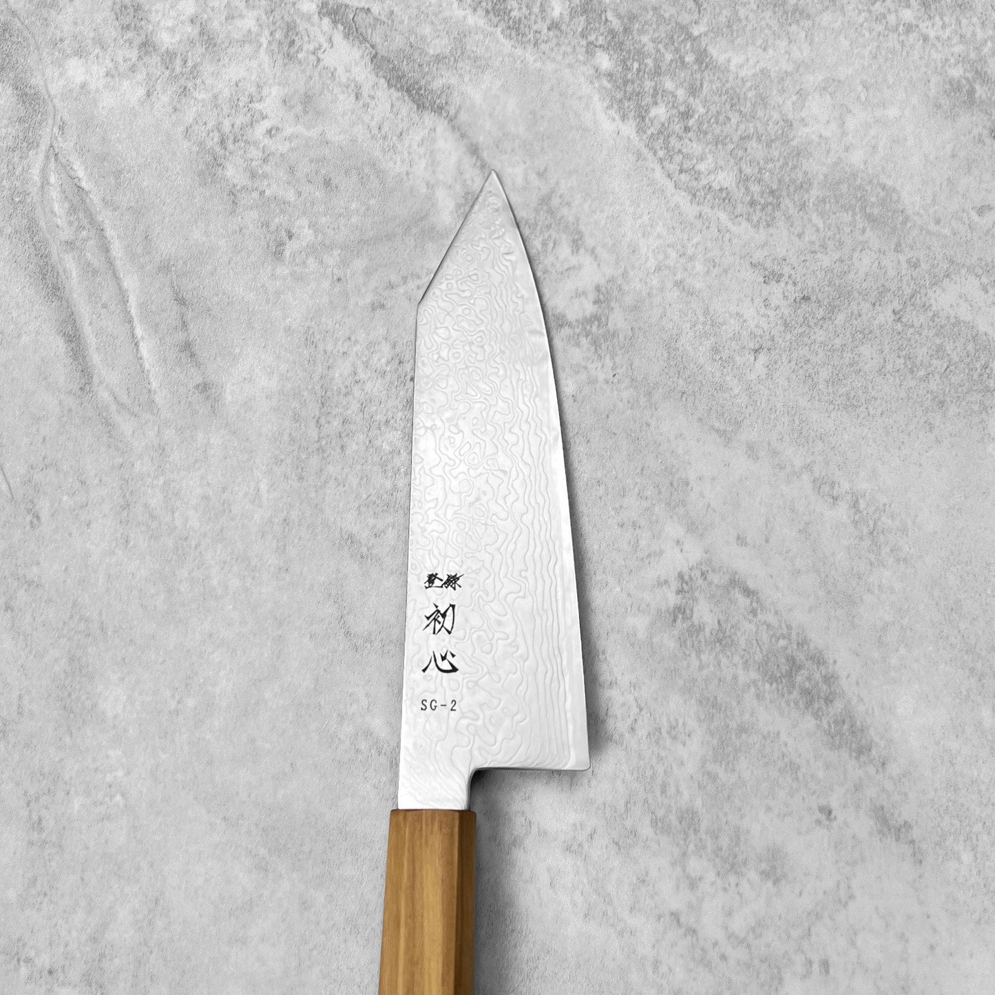 Hatsukokoro Ryuhyo SG2 Damascus Bunka 180mm