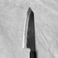 Mutsumi Hinoura AS Kurouchi Nashiji Kiritsuke Gyuto 210mm