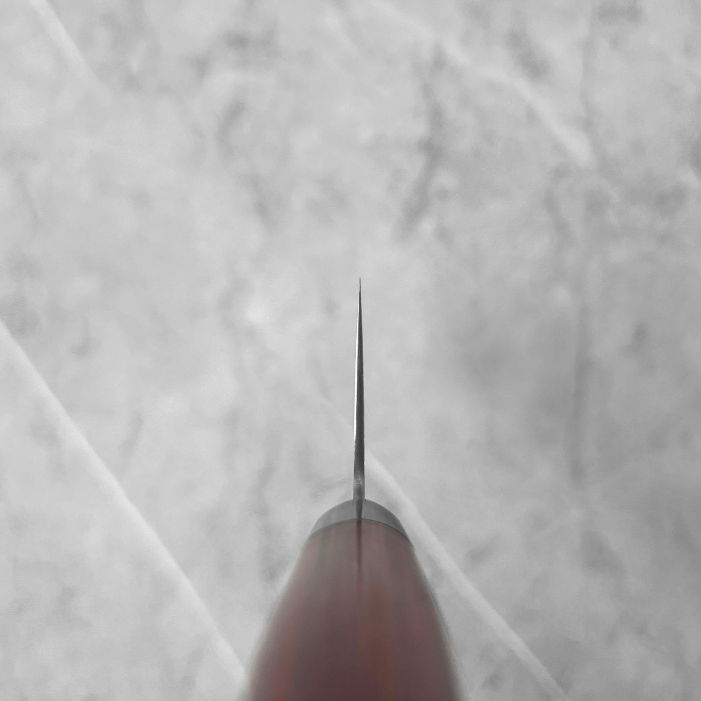 Takamura SG2 Migaki Gyuto 210mm