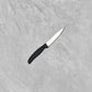 Ambrogio Sanelli Supra Nitro-B Paring Knife 110mm (Black)