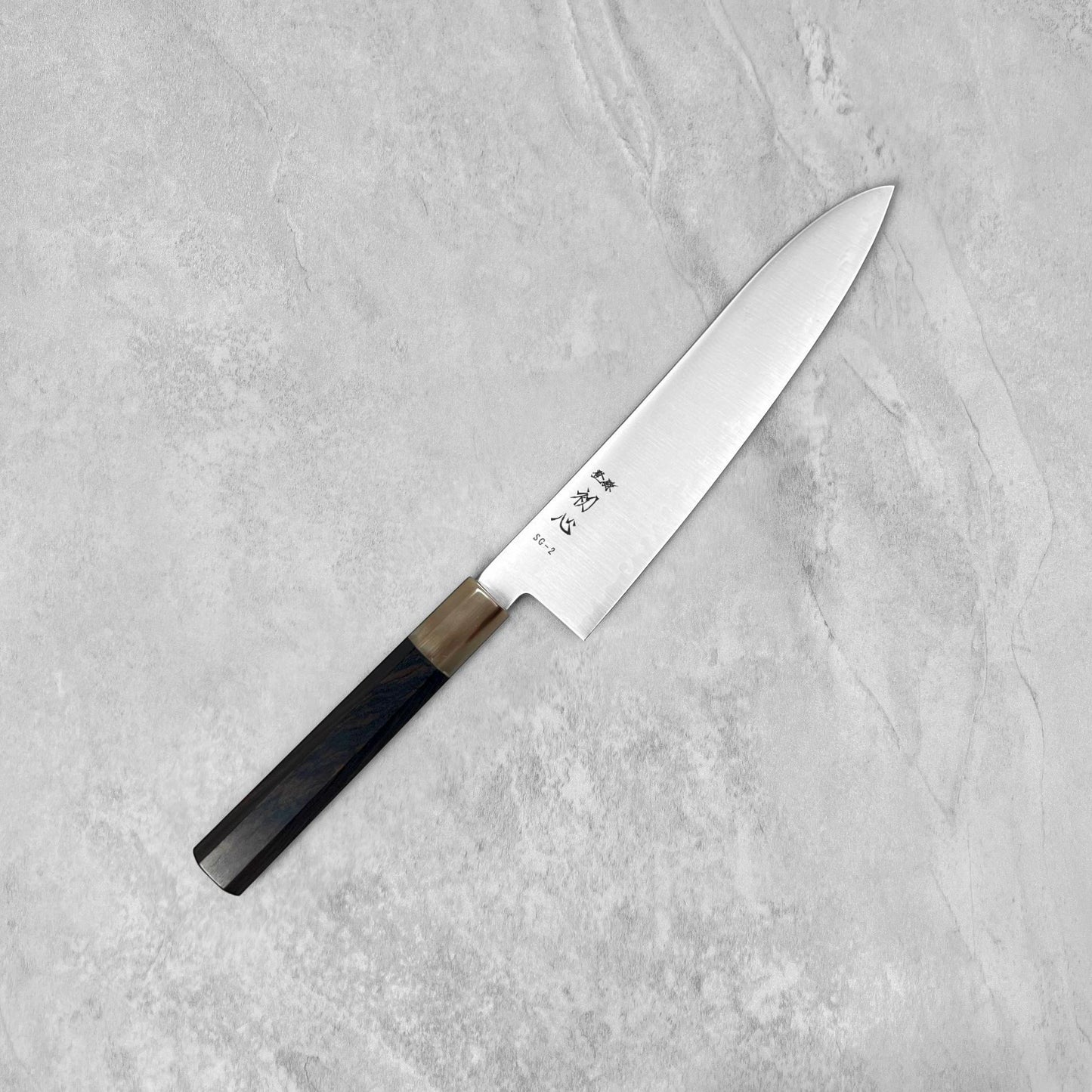 Hatsukokoro Hayabusa SG2 Migaki Gyuto 210mm