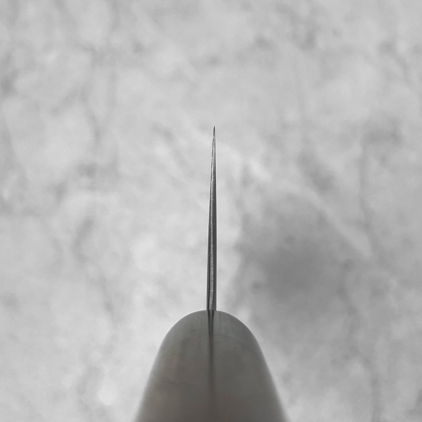 Tsunehisa AS Migaki Kiritsuke 210mm