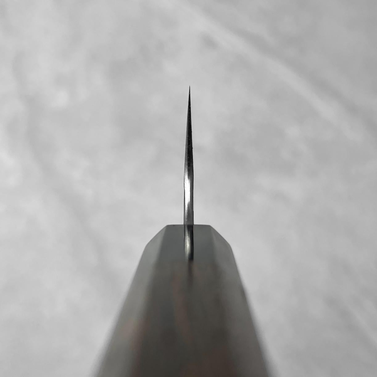 Nigara Hamono SG2 Migaki Tsuchime Gyuto 210mm